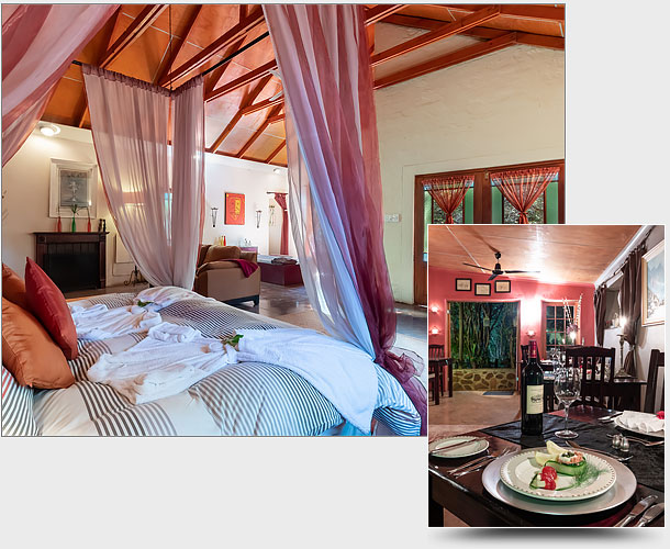 The Feathered Nest - redefining romantic getaways