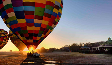 The Feathered Nest - Booking Services